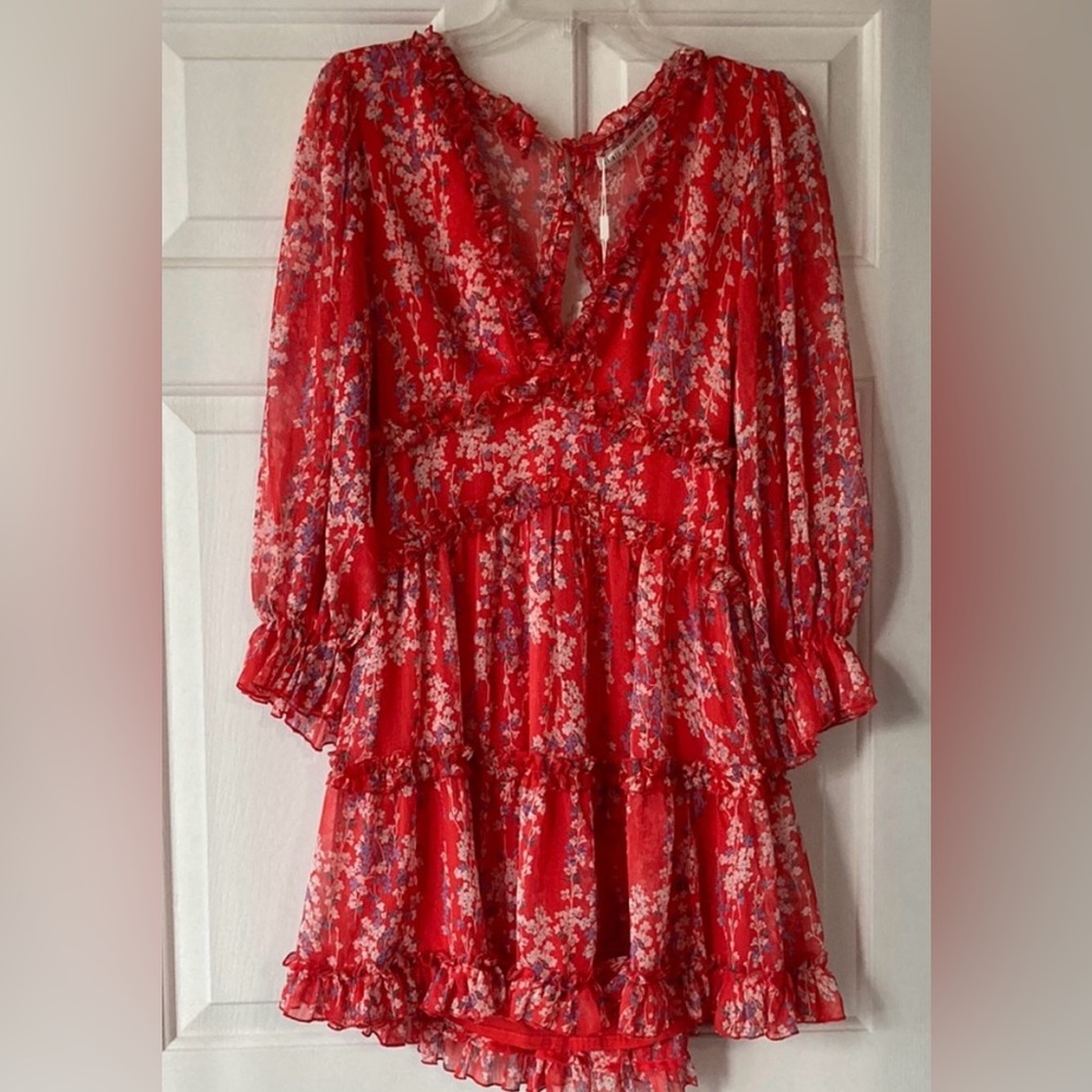 New with tag Saints and Secrets dress